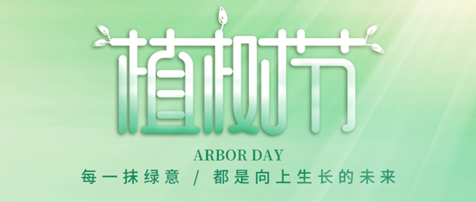 植树节丨栽种春意，收获繁华
