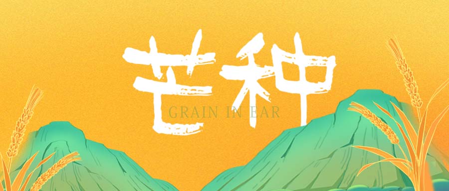 芒种 | 万物有序，保持光芒，潜心耕耘，种有所获